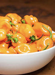 Authentic Mexican Dried Sauces - 3 Pack Habanero
